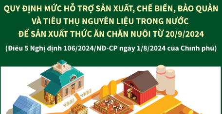 Chính sách mới về chăn nuôi từ 20/9/2024