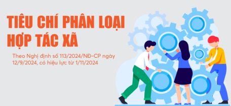 Tiêu chí phân loại Hợp tác xã