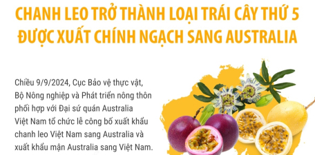 Chanh leo trở thành loại trái cây thứ 5 được xuất chính ngạch sang Australia