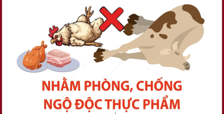 Bộ Y tế khuyến cáo: Người dân vùng bão lũ không sử dụng gia súc, gia cầm chết chế biến thực phẩm