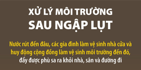 Xử lý môi trường sau ngập lụt