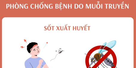 Phòng chống bệnh do muỗi truyền