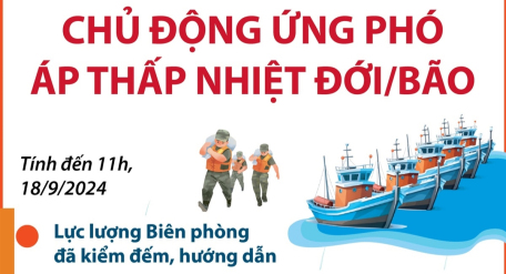 Chủ động ứng phó áp thấp nhiệt đới/bão