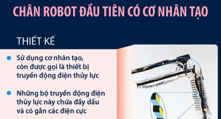 Chế tạo chân robot đầu tiên có cơ nhân tạo