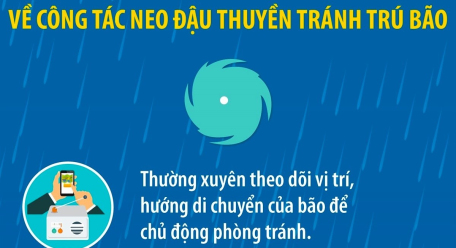 Những lưu ý về neo đậu thuyền tránh trú bão