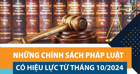 Những chính sách pháp luật có hiệu lực từ tháng 10/2024