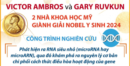 Giải Nobel Y sinh 2024 vinh danh 2 nhà khoa học người Mỹ Victor Ambros và Gary Ruvkun