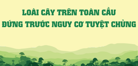 Loài cây trên toàn cầu đứng trước nguy cơ tuyệt chủng