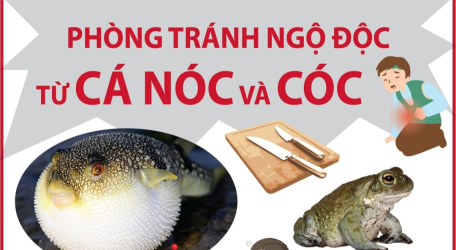 Phòng tránh ngộ độc từ cá nóc và cóc