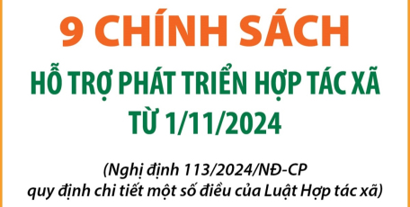 9 chính sách hỗ trợ phát triển hợp tác xã từ 1/11/2024