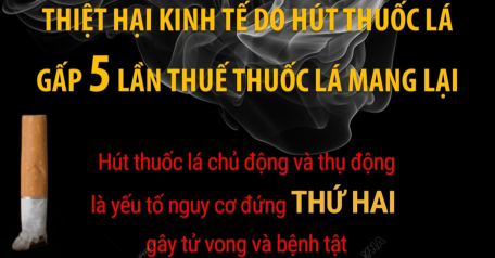 Thiệt hại kinh tế do hút thuốc lá gấp 5 lần thuế thuốc lá mang lại