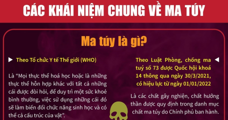 Kiến thức về ma túy