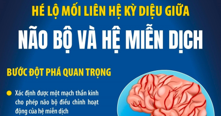 Hé lộ mối liên hệ kỳ diệu giữa não bộ và hệ miễn dịch