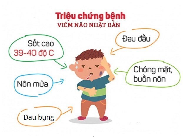 Cách Phòng Bệnh Viêm Não Khoa Học Lớp 5: Hướng Dẫn Chi Tiết