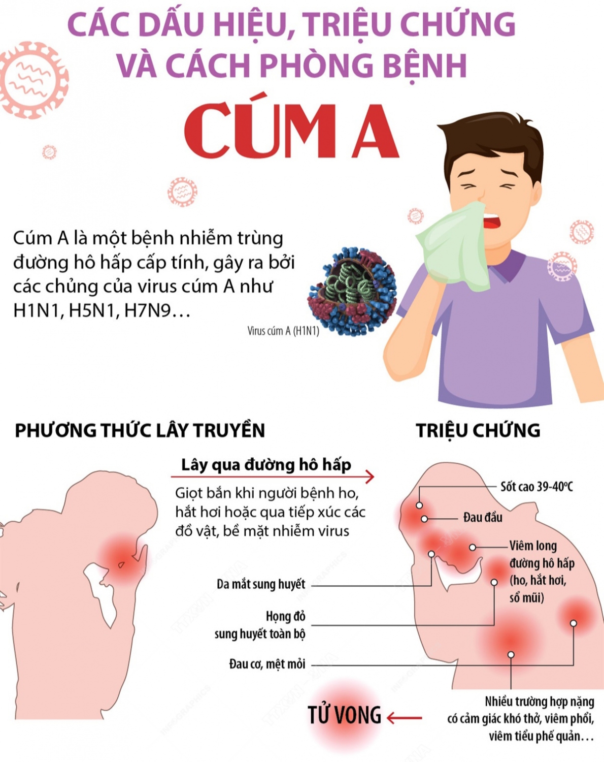 4. Cách phòng tránh và điều trị cúm A