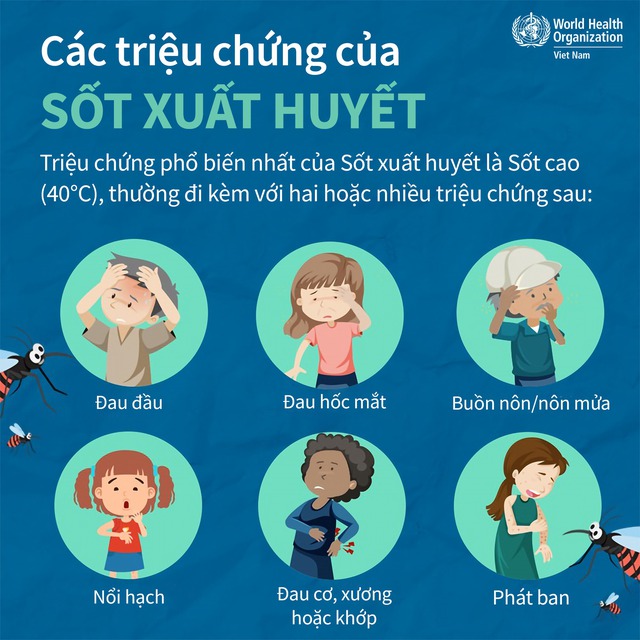 Các Triệu Chứng Bệnh Sốt Xuất Huyết: Dấu Hiệu Nhận Biết Và Cách Xử Lý