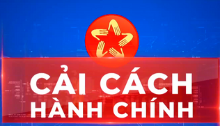 Phiên họp thứ 5 Ban Chỉ đạo cải cách hành chính của Chính phủ