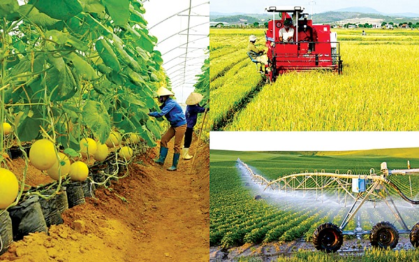 Phát triển nông nghiệp Việt Nam: Vấn đề đặt ra và một số giải pháp