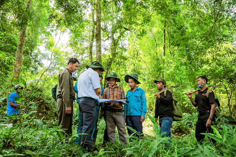 Hướng dẫn tuyên truyền các chủ trương, đường lối của Đảng về quản lý, bảo vệ và phát triển rừng