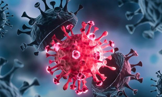 Ghi nhận biến thể JN.1 của virus SARS-CoV-2 gia tăng trên toàn cầu