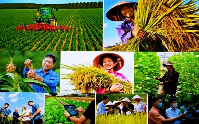 Nông dân Việt Nam có vai trò quan trọng trong sự nghiệp xây dựng và bảo vệ Tổ quốc