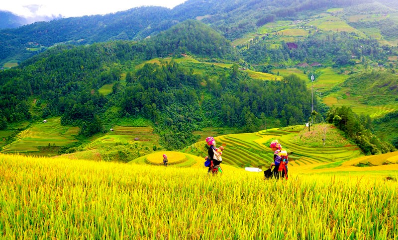 Triển khai cơ chế, chính sách đặc thù đẩy nhanh tiến độ chương trình mục tiêu quốc gia tại địa phương