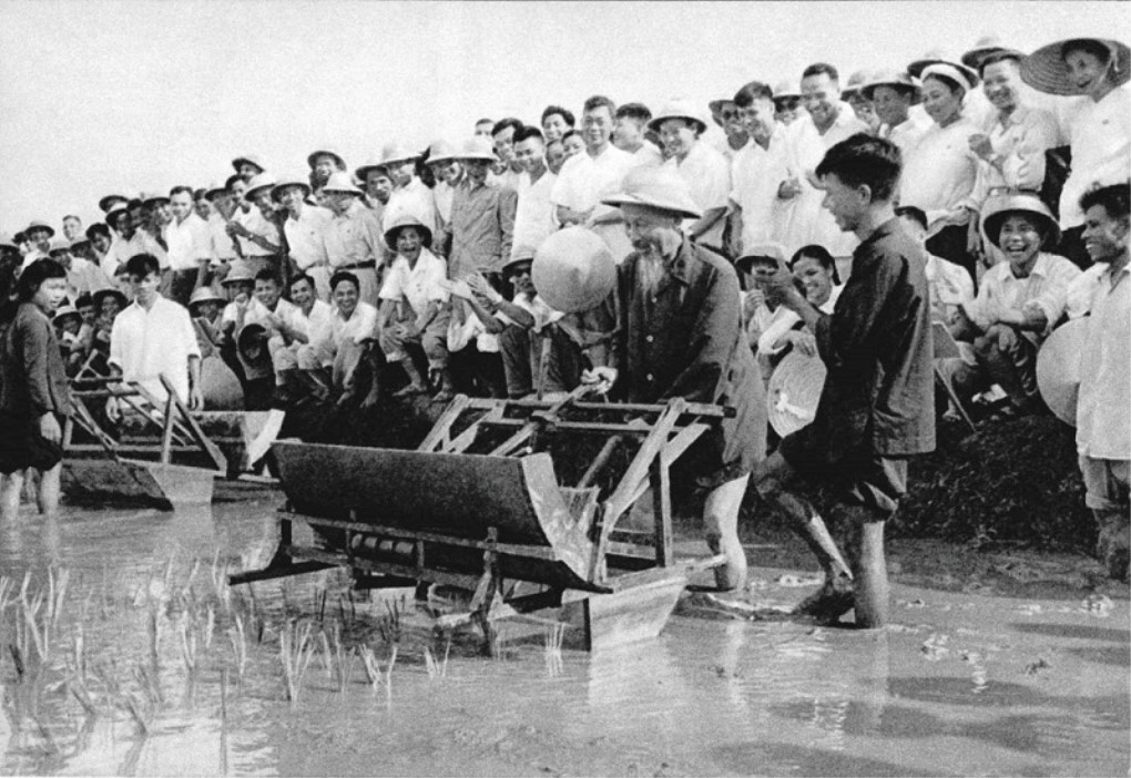 Chủ tịch Hồ Chí Minh dùng thử máy cấy lúa cải tiến tại Trại thí nghiệm trồng lúa Sở Nông lâm Hà Nội (ngày 16/7/1960). (Ảnh: Tư liệu)