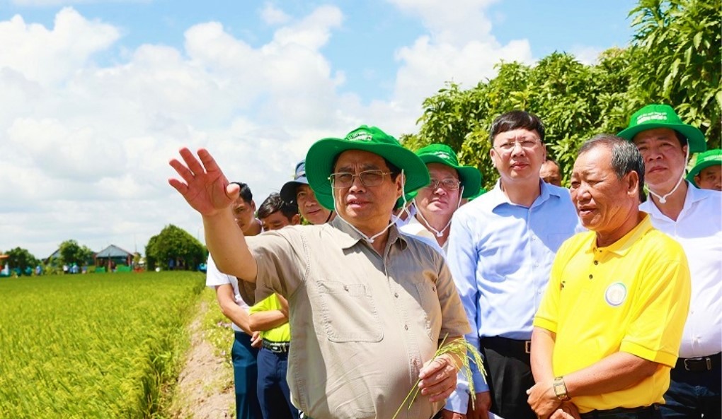 Ủy viên Bộ Chính trị, Thủ tướng Chính phủ Phạm Minh Chính khảo sát mô hình nông nghiệp công nghệ cao, sản xuất lúa của hợp tác xã dịch vụ nông nghiệp Thắng Lợi ở huyện Tháp Mười, tỉnh Đồng Tháp. (Ảnh: TTXVN)