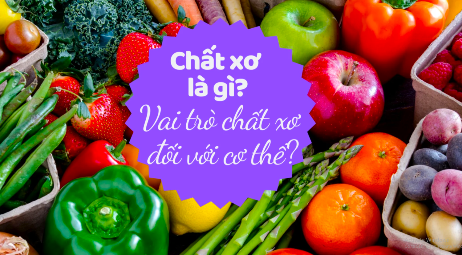 Chất xơ là gì?