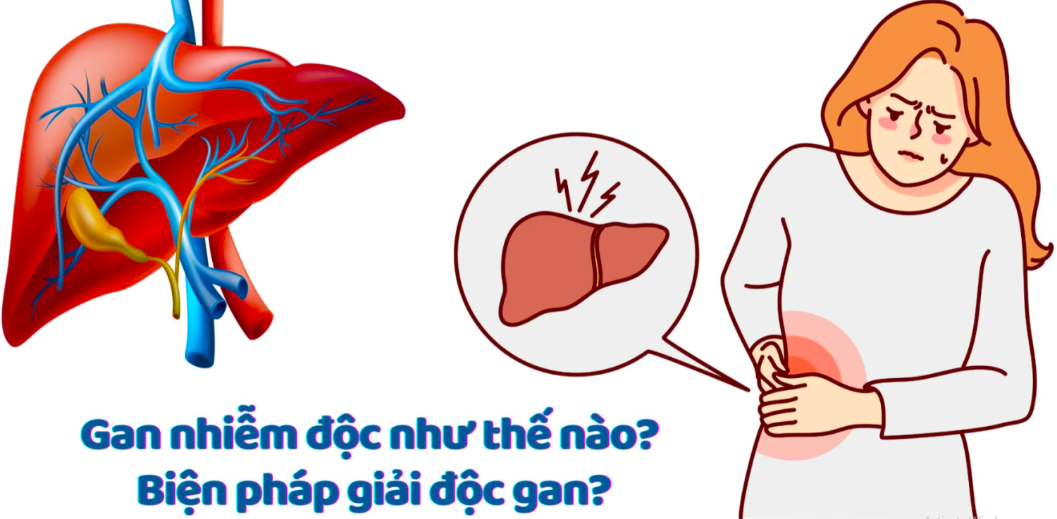 Giải pháp để giải độc gan đã được phổ biến