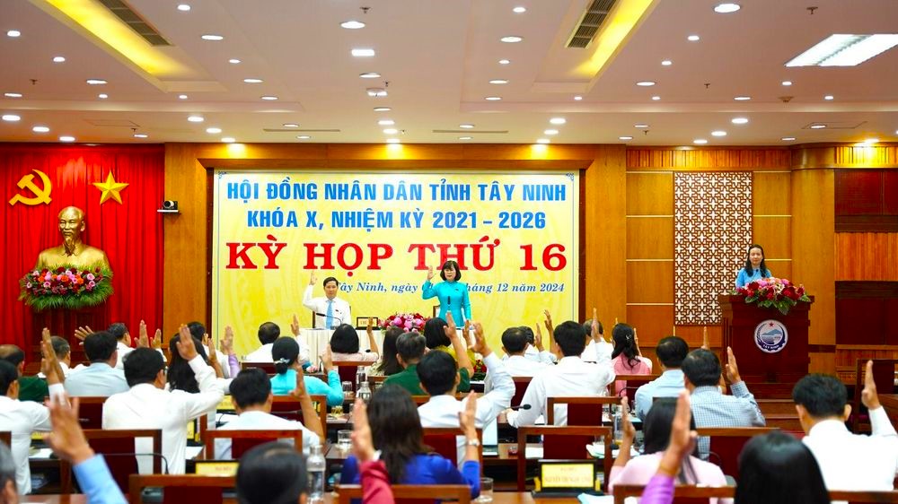 Đại biểu HĐND tỉnh biểu quyết thông qua Nghị quyết lĩnh vực Nội vụ