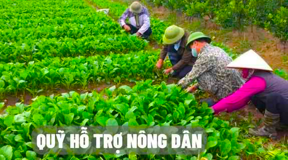 Hướng dẫn cơ chế quản lý tài chính của Quỹ Hỗ trợ nông dân