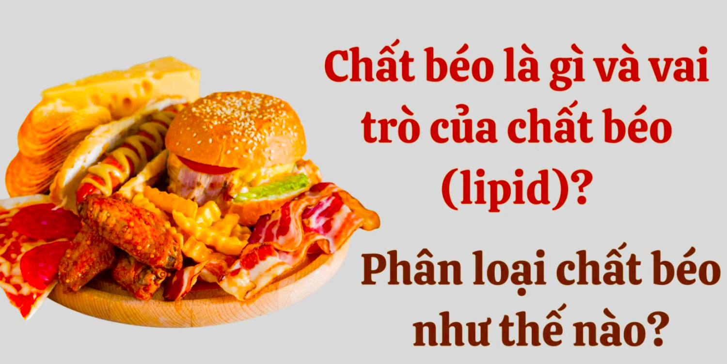 Chất béo, vai trò chất béo (lipid)