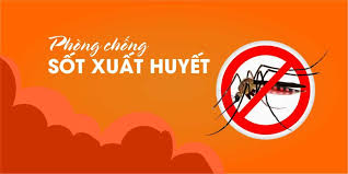 Thông điệp truyền thông phòng, chống sốt xuất huyết